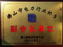 電建集團榮獲佛山市電力行業(yè)協(xié)會(huì )“副會(huì )長(cháng)單位”